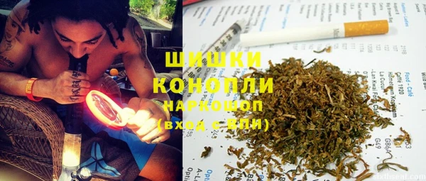 PSILOCYBIN Балабаново