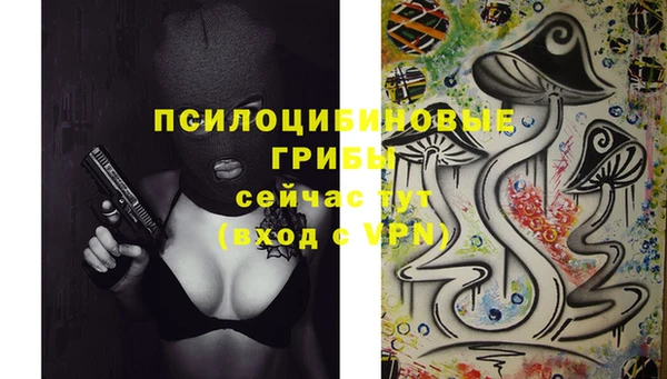 шишки Балахна