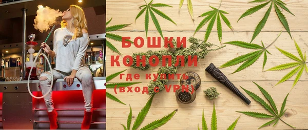 СК Аркадак