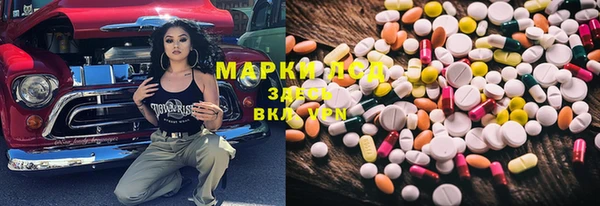 шишки Балахна