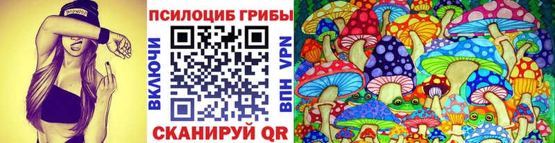 Псилоцибиновые грибы Psilocybine cubensis  Певек 